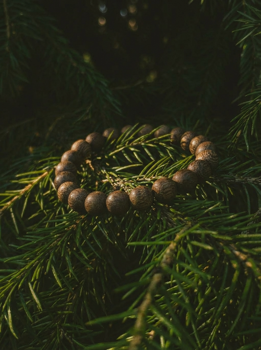 7 Real Benefits of Agarwood Bracelets | Why Everyone's Wearing One on Their Wrist